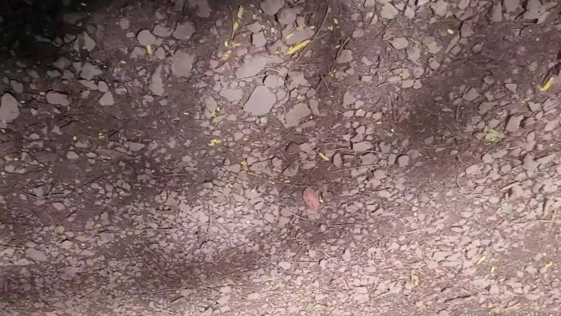 Lady Shayqoscuckoldress Nicknamed Ladyshay 05 04 2023 Onlyfans Video Leaked Ladyshay 55409