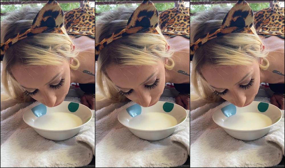 Selenarainxoxo October Rd This Stray Kitty Showed Up On Someone