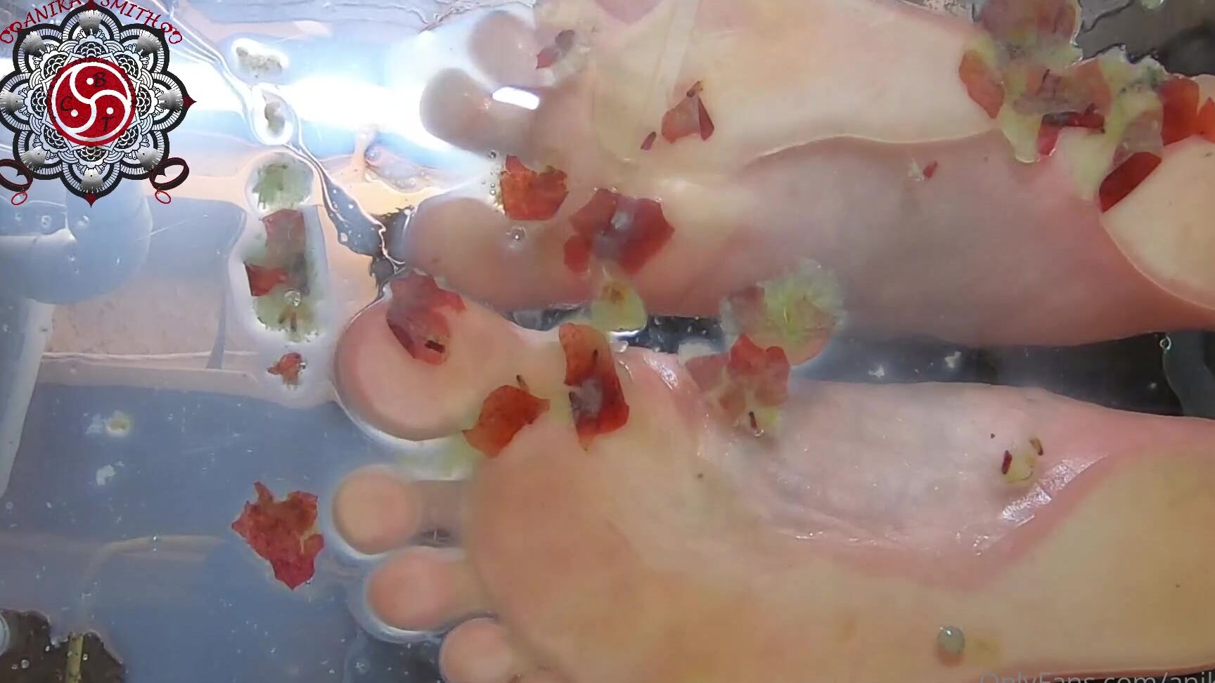 Anikacbt Anika Pov Grape Crush