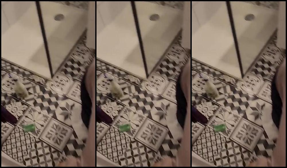 Yourgoddessanna51K Nicknamed Yourgoddessanna1 09 02 2024 Onlyfans Video When You Get Face Slaps From Your Goddess You Know You Are On The Right Path Wjw