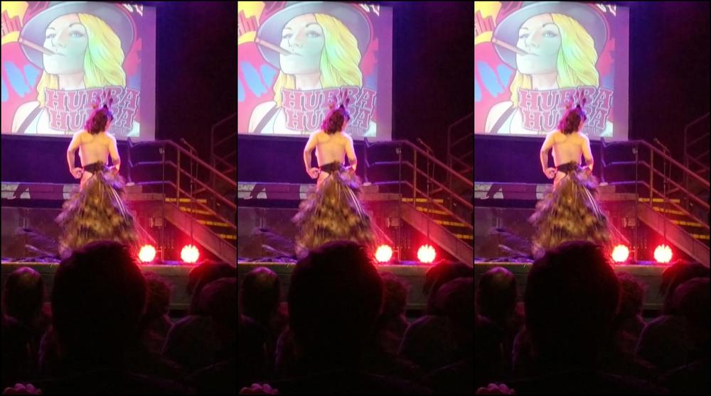 Raindegrey 23392607 02 25 2019 Peacock And Feathers And Wiggling All Over The Place