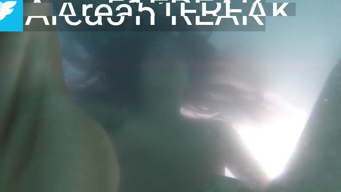 "Area51FREAK" Public, Pool, Swimming Pool, Risky, Risky Public, Amateur, Homemade, Almost Caught, Almost Got Caught, Lesbian, Lesbian Masturbation, Finger, Underwater, Water, Fingering, Fingering Orgasm, Suggest Area51FREAK Underwater trial pornhub