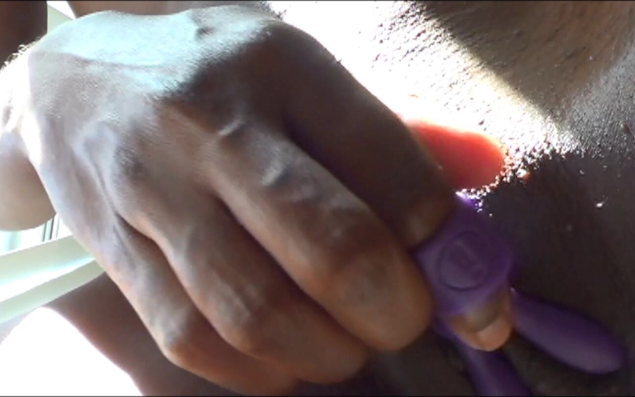 Bailey Is This Seat Taken