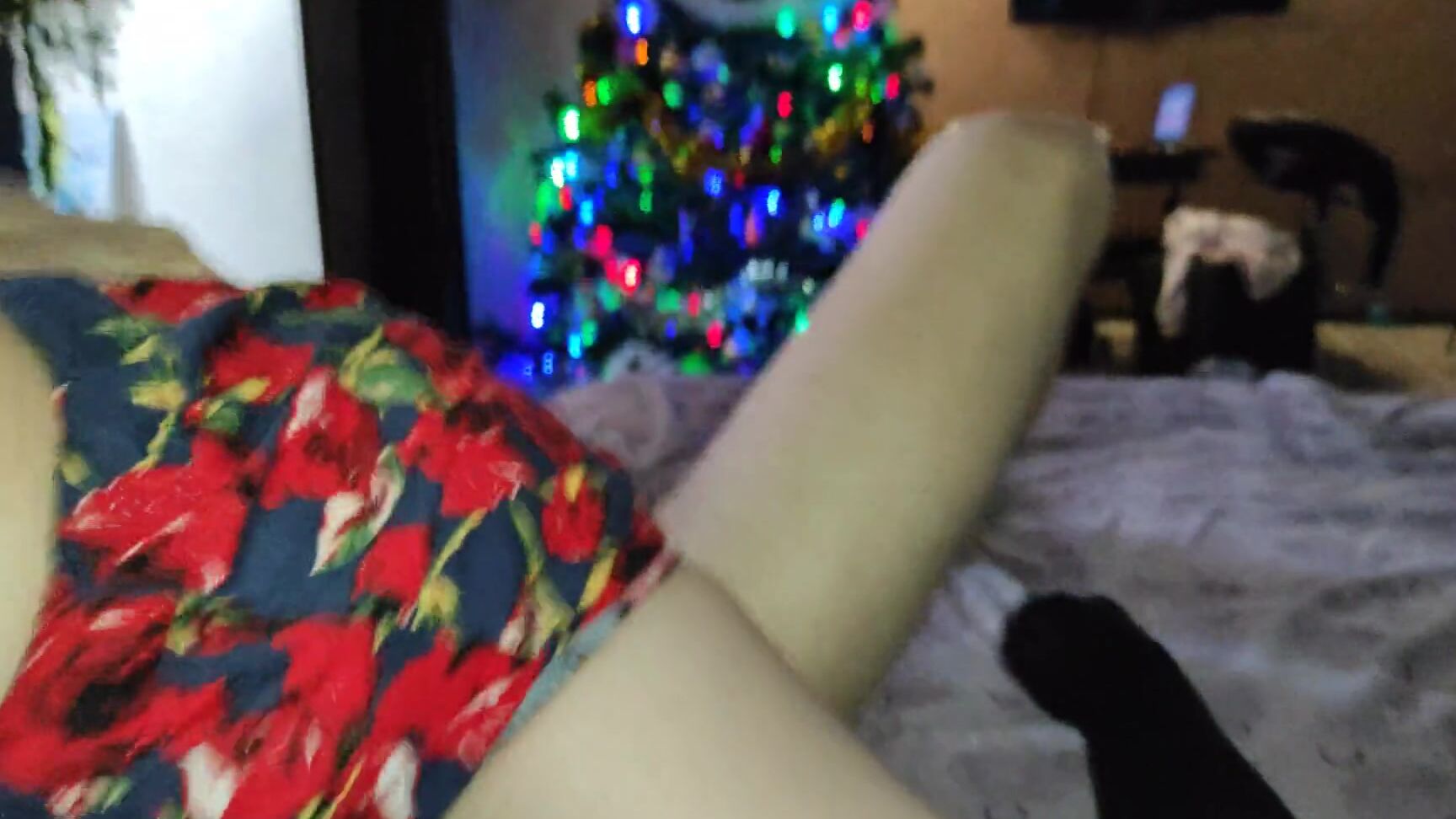 TabooRoom blowjob creampie Pornhub