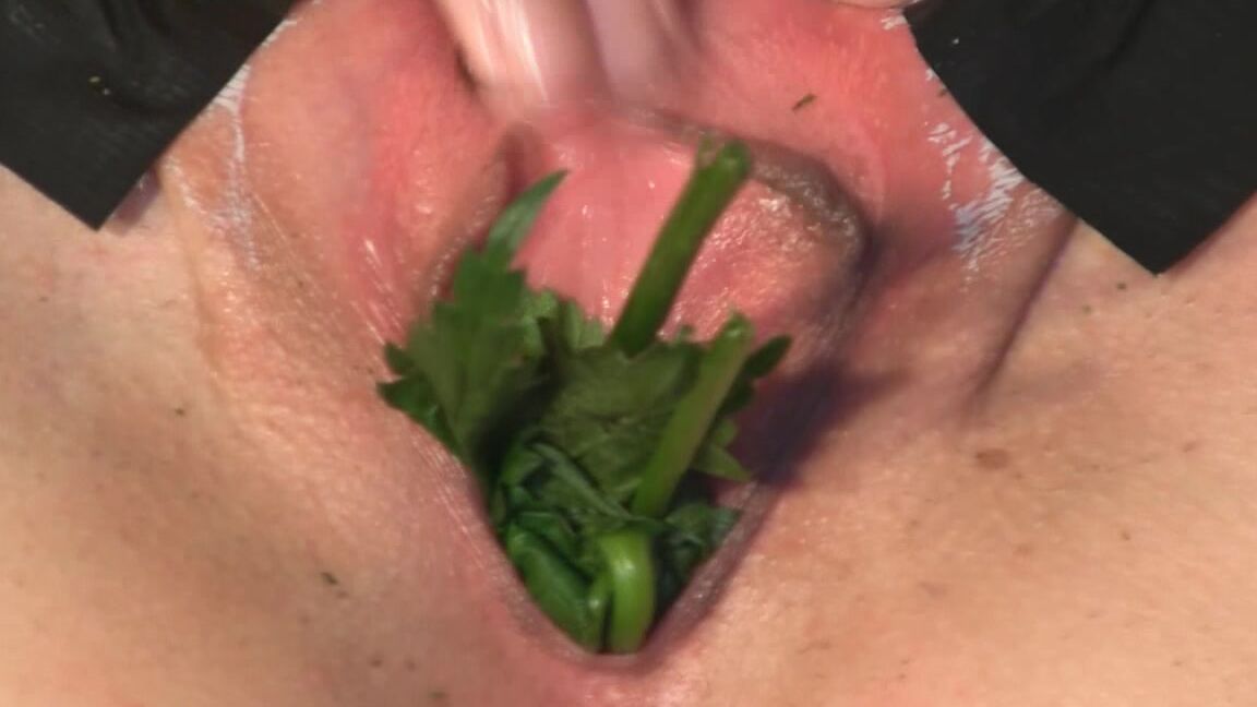 Queensnake Stinging Nettle Full P