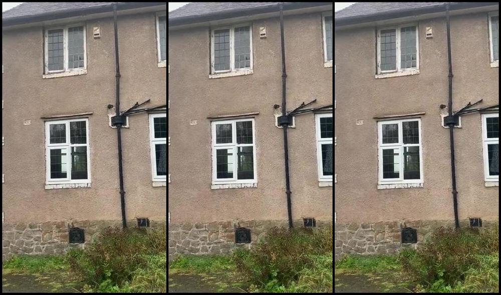 Ladydarkangeluk Onlyfans Posting Two Videos Of My House You Can See The State It S In And The Many Many Thousands I Need