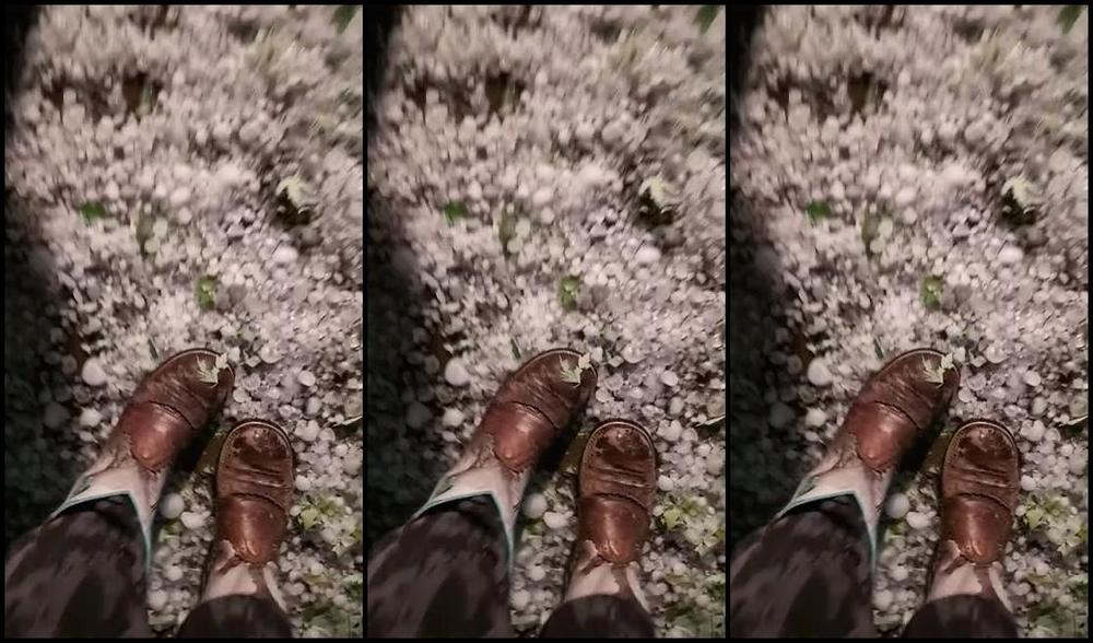 Mplfeet Vip Nicknamed Mplfeet Vip Onlyfans So A Few Weeks Ago I Got Hit With A Crazy Hail Storm My Car Was2