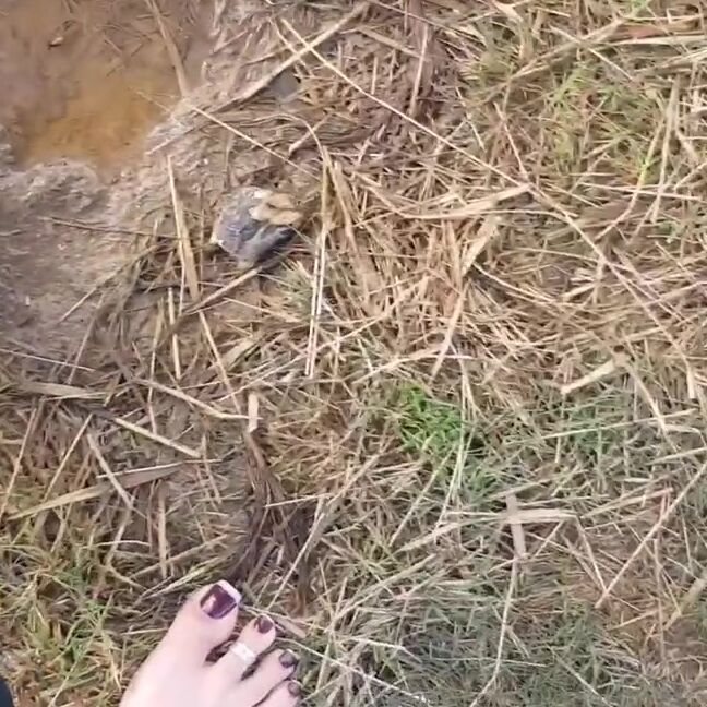 Ukfoot Mistress Onlyfans Barefoot Hiking In Cornwall For My Dirty Foot Slaves Pleasure Now Quit Enjoying This Amazing Si 1P