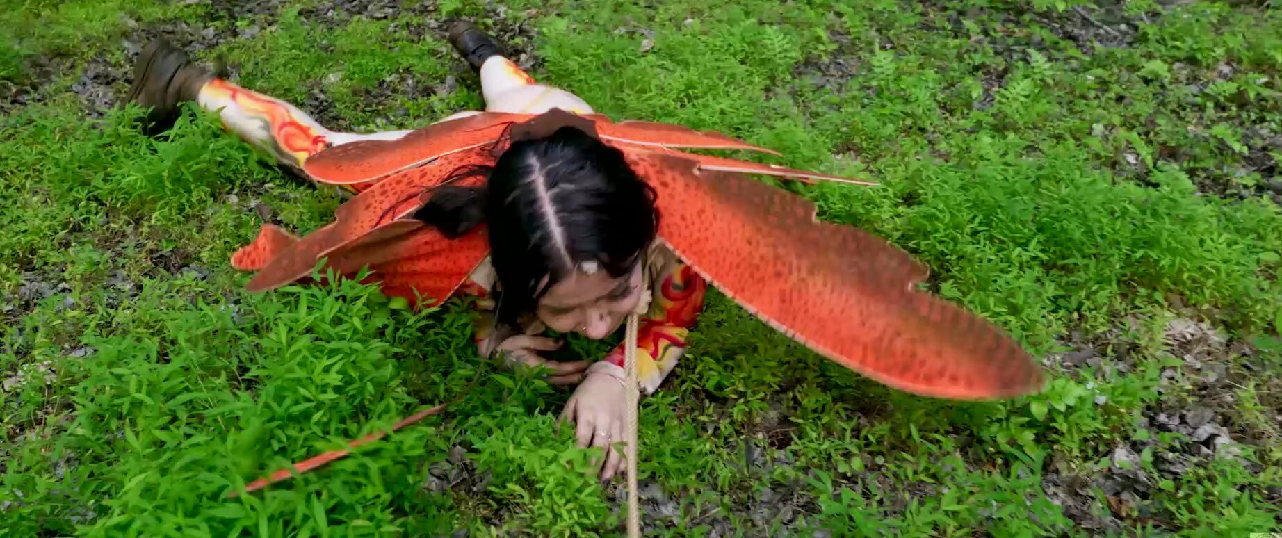 Domthenation Members Just A Little Anal Bug In The Grass With Submissive Masochist Lily