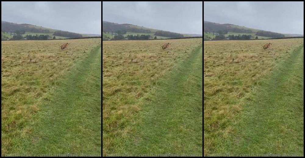 Ladydarkangeluk Onlyfans Trying To Tire Her Out Who Is Cleaning My Wellies After