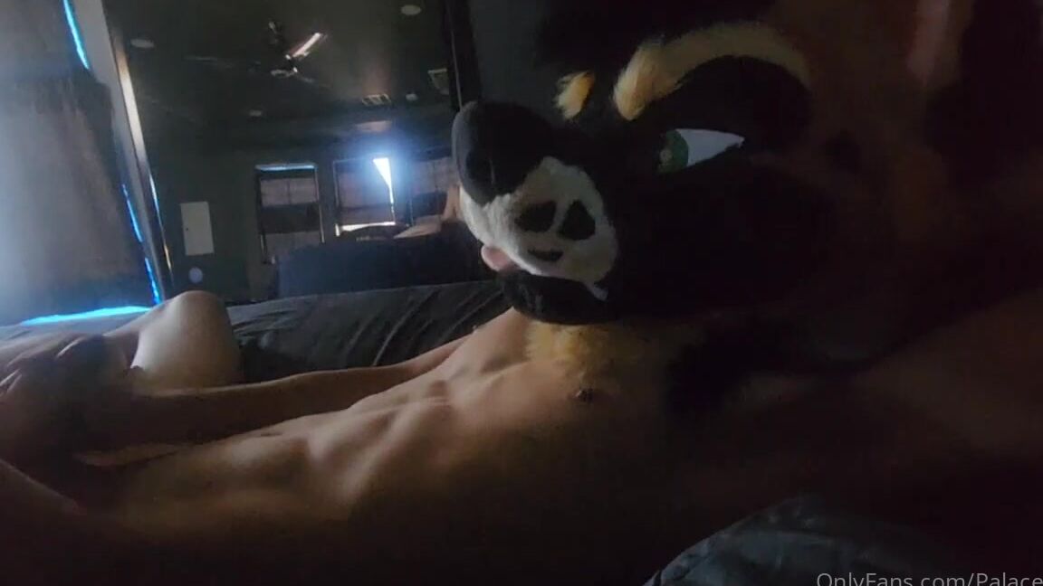 Palacewolf 420187713 01 063678Bb A90F 4262 Bbb8 F3174B81E364