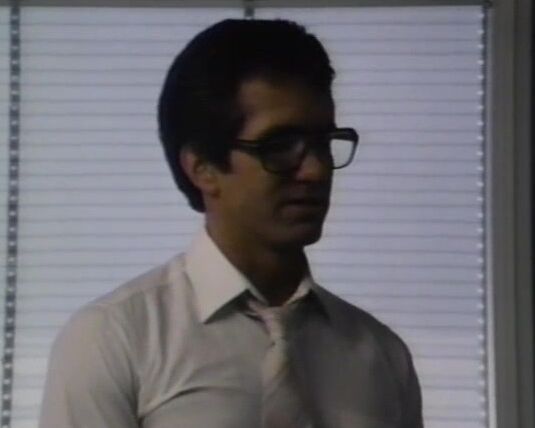 "Janey Robbins, Jesie St. James, Joanna Storm, Debi Diamond, Tigr, David Cannon, Eric Edwards, Jon Martin, Mike Horner, Paul Thomas" Classic, Feature Her Wicked Ways Caballero Home Video