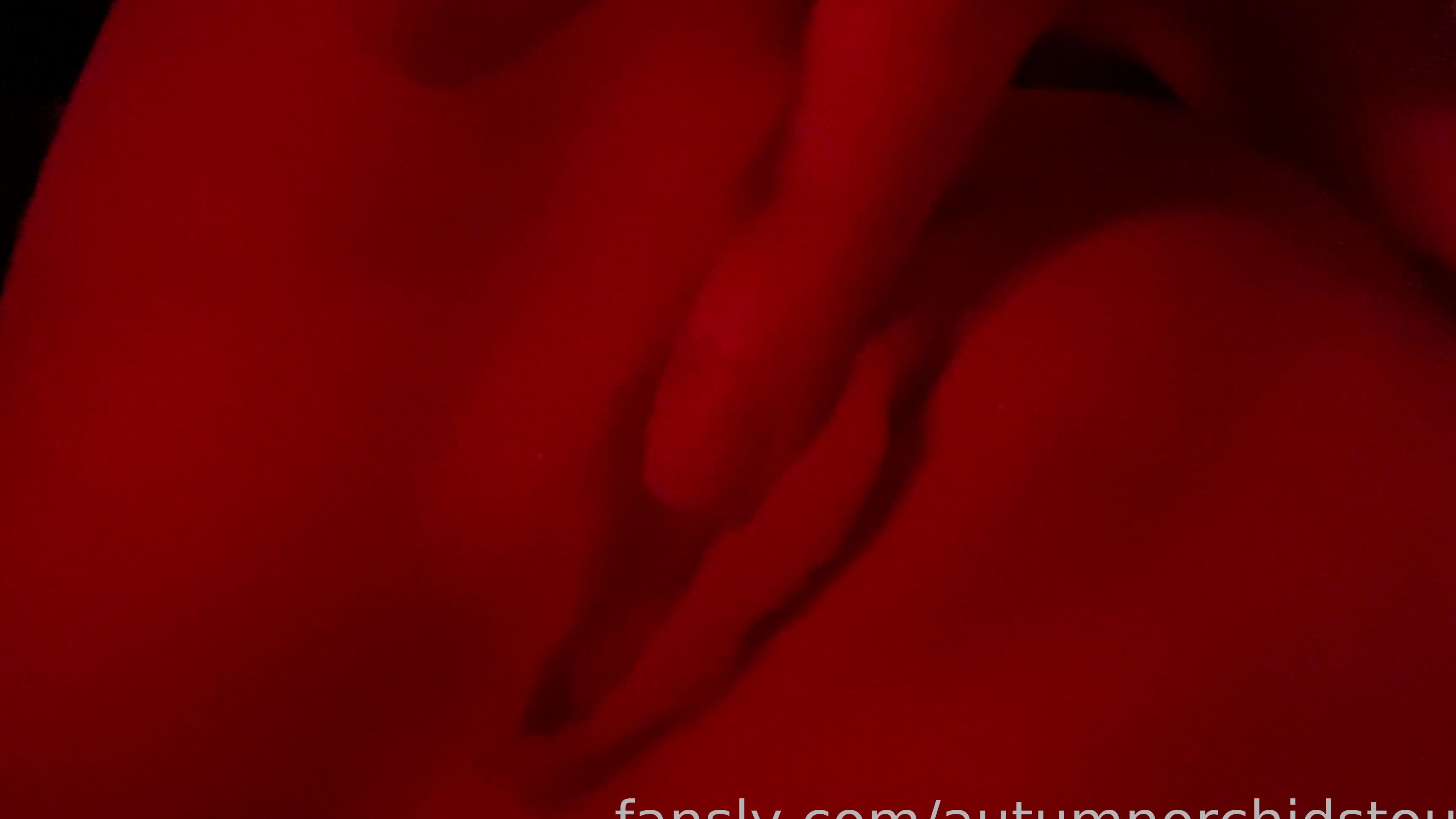 Autumn Orchid 438540373581639680