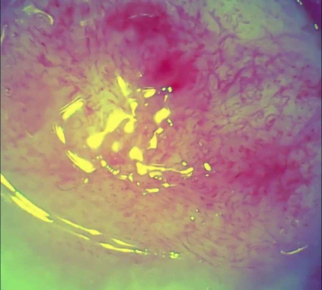 "Bratty Sis" Cunnilingus, Oral, Mature Cougar, Gilf, Granny, Pussy Eating, Corset, Stockings, High Heels, Vibrator, Endoscope, Kissing, Suggest Bratty Sis Granny Black Widow Heroic Foreplay Pornhub