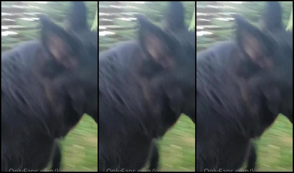 Goddess Samariel Nicknamed Krissamistress Onlyfans Every Beauty Needs A Beast