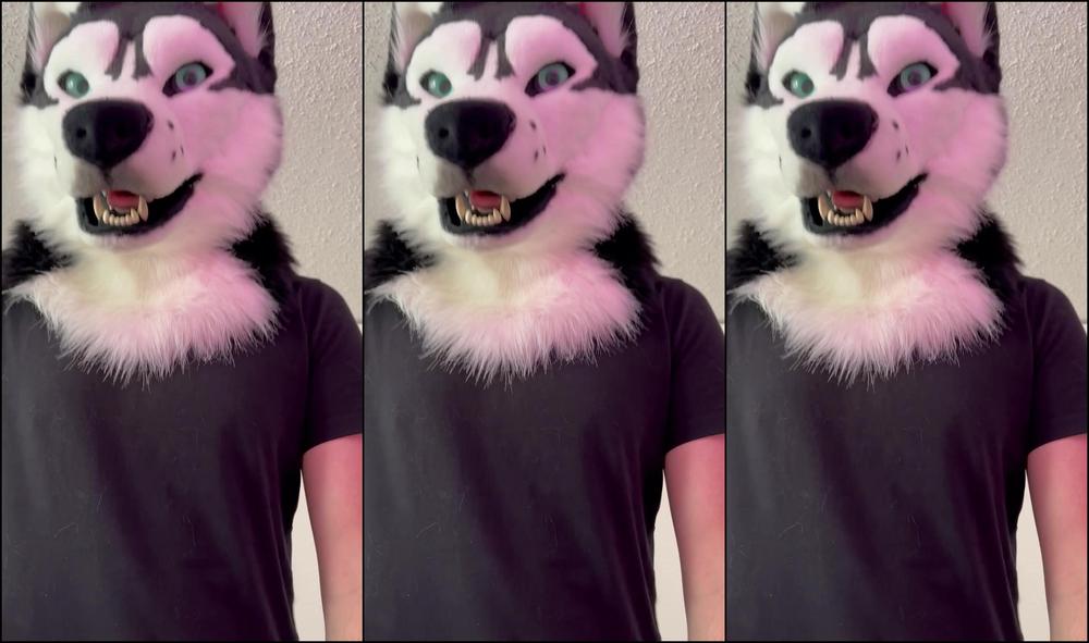 Angel Pups 1339225580 I Have Him Trained Pretty Well 01 0Huvuf41T4Xhry6Mo1Jri Source