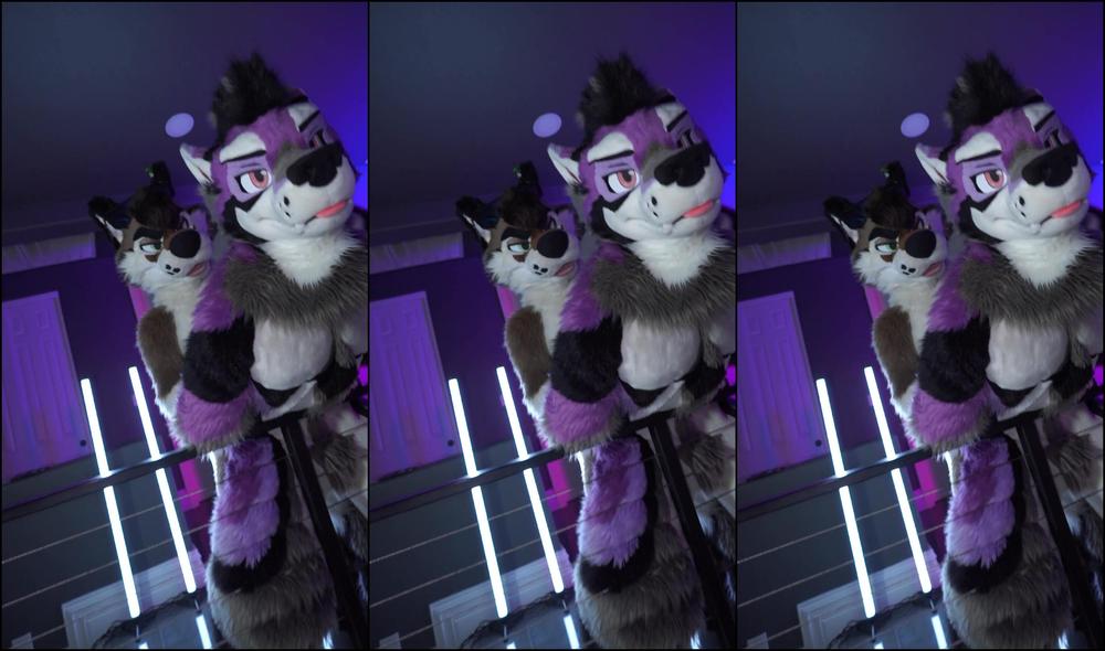 Palacewolf 0I07B03Gtevitg32Intyd 1920