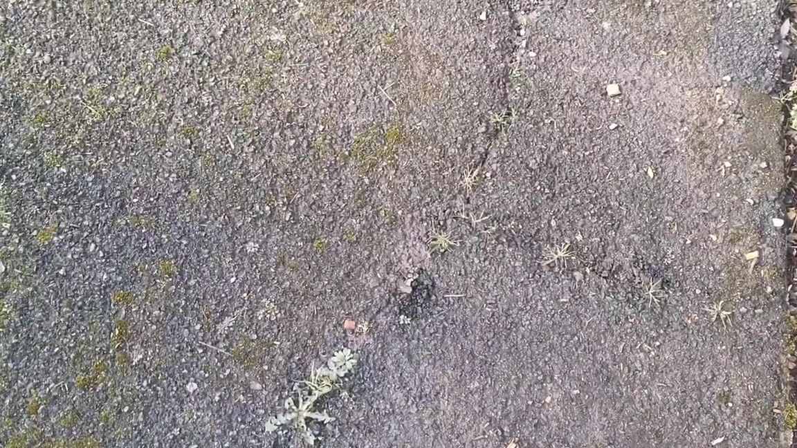 Misscourtneym Onlyfans Welcome To My New Dungeonp