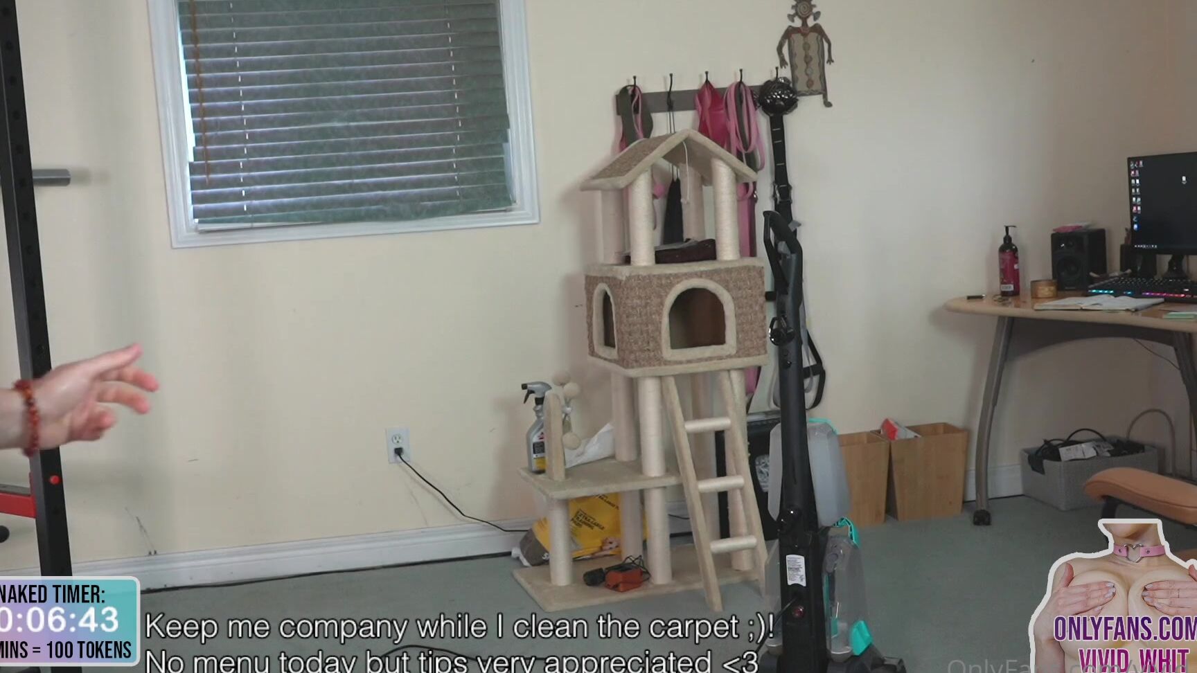 Vivid Whit Sexy Carpet Cleaning Hd Livestream Recording