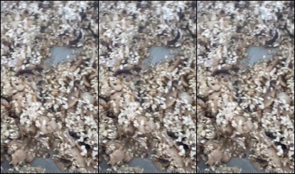 Your Submissive Doll Let Me Cook For You