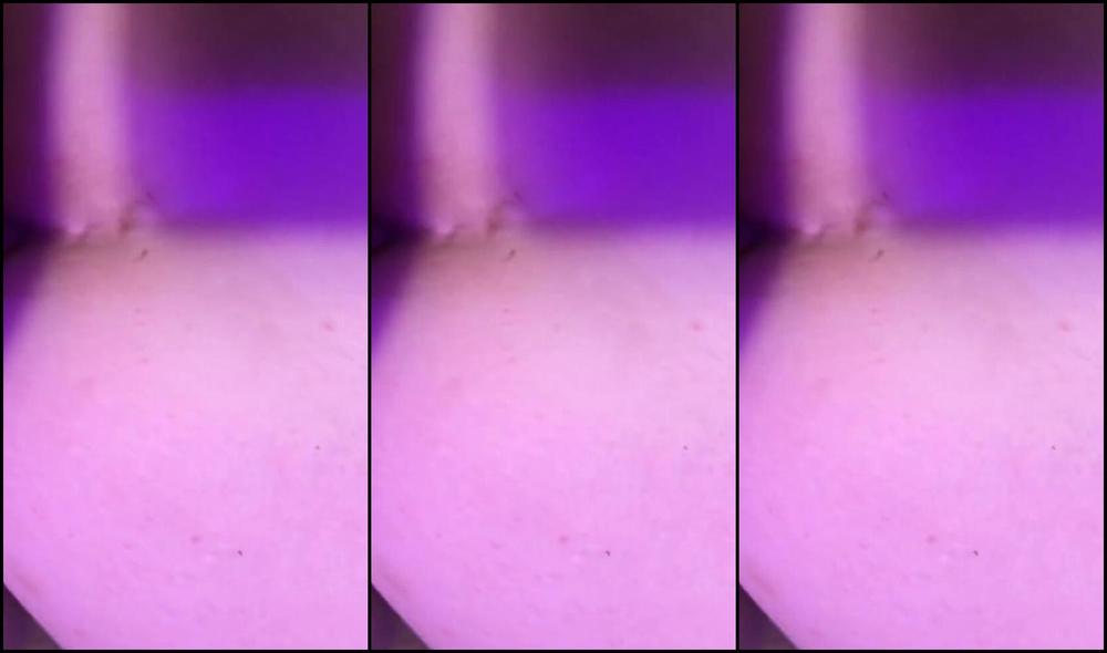 "Brazzers" Camgirl, Anal, Cum Swallow, Ass To Mouth, Hot, Amateur, Ass Fuck, Suggest Brazzers Sasharose88 ass to mouth swallow Pornhub