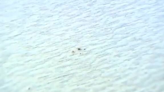 Giantess Sandra The Goddess Of Shrinkage