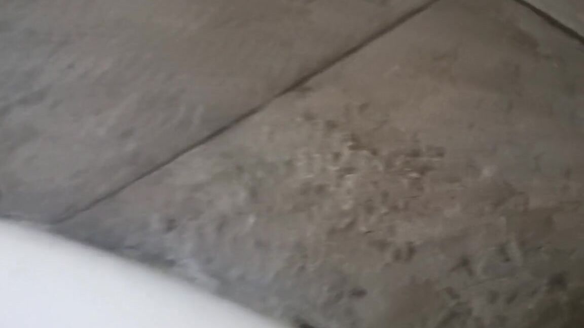 "Tania Gomez" Colegiala, Colegiala Mexicana, Colegialas Mexicanas, Colegialas, Dinero, Folladas Por Dinero, Mexicanas Por Dinero, Por Dinero, Sexo Por Dinero, Estudiante, Estudiantes, Mexicana, Mexicanas, Suggest Tania Gomez This MEXICAN SCHOOLGIRL i