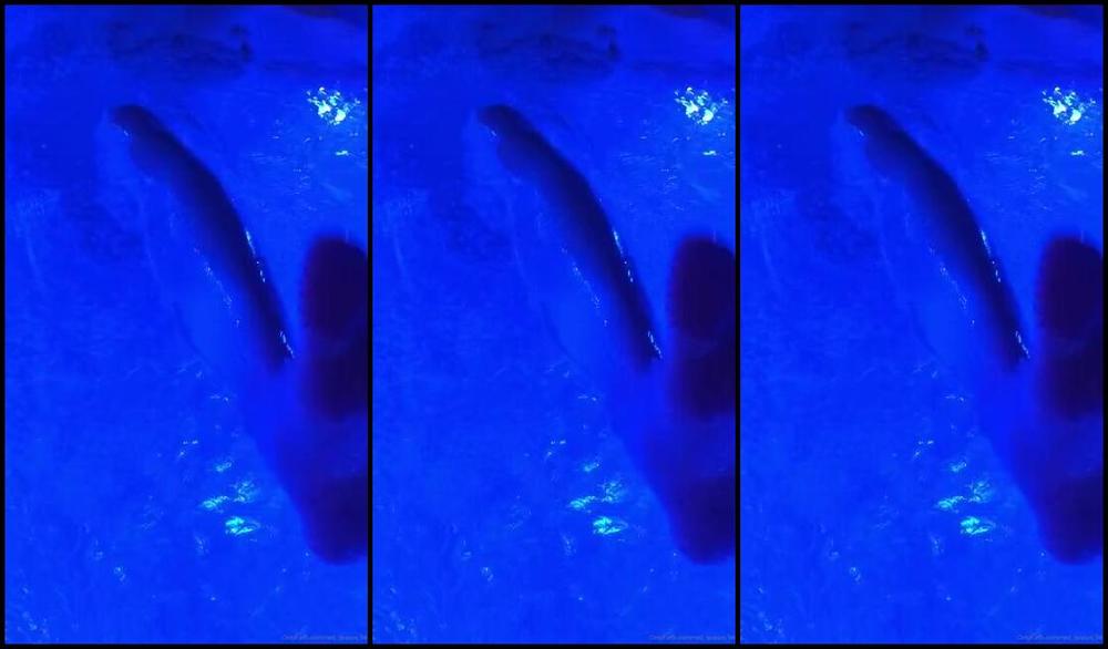 Red Queen Nicknamed Red Queen 94 Femdom 02 28 2020 Onlyfans Video Watch Me Enjoy Jacuzzi