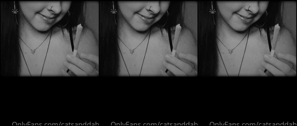 Catsanddabs 2020 12 23 0Glxlype8C4G9Zftcf8Ay Source