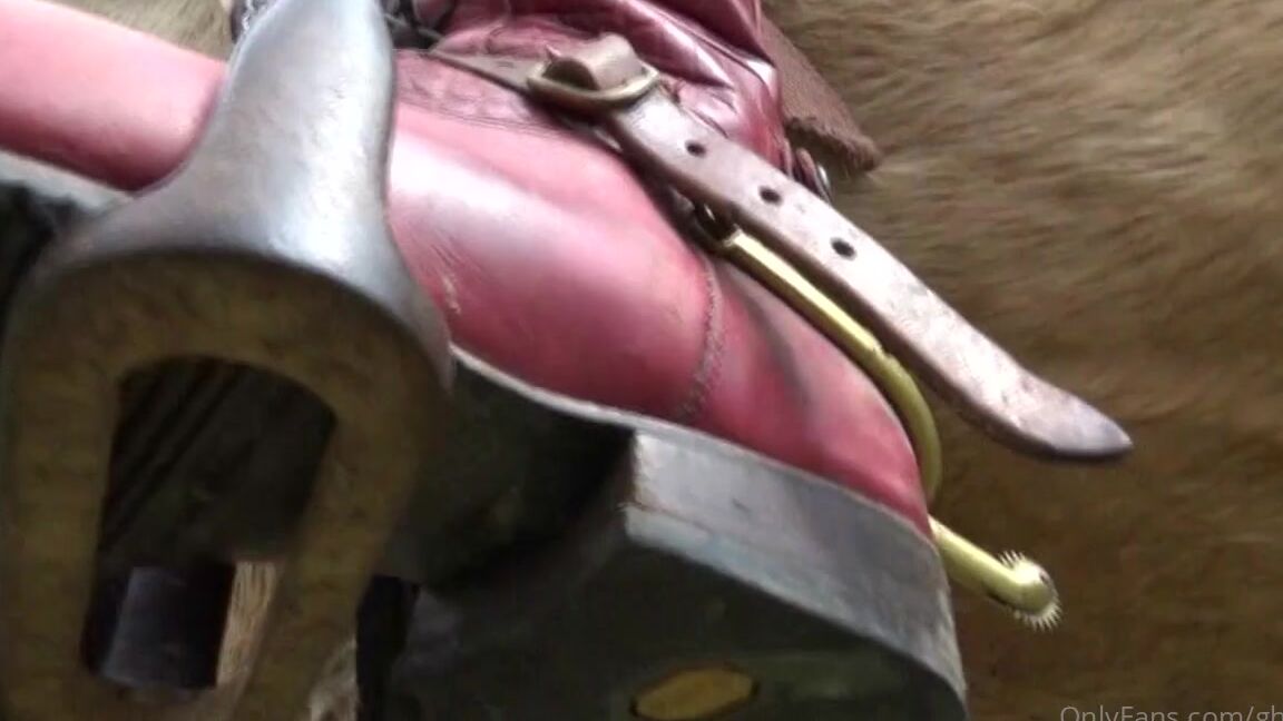 Ghrfan Onlyfans The Chapa Training Is Aimed To Teach A Horse Which Is Going To Be Used For