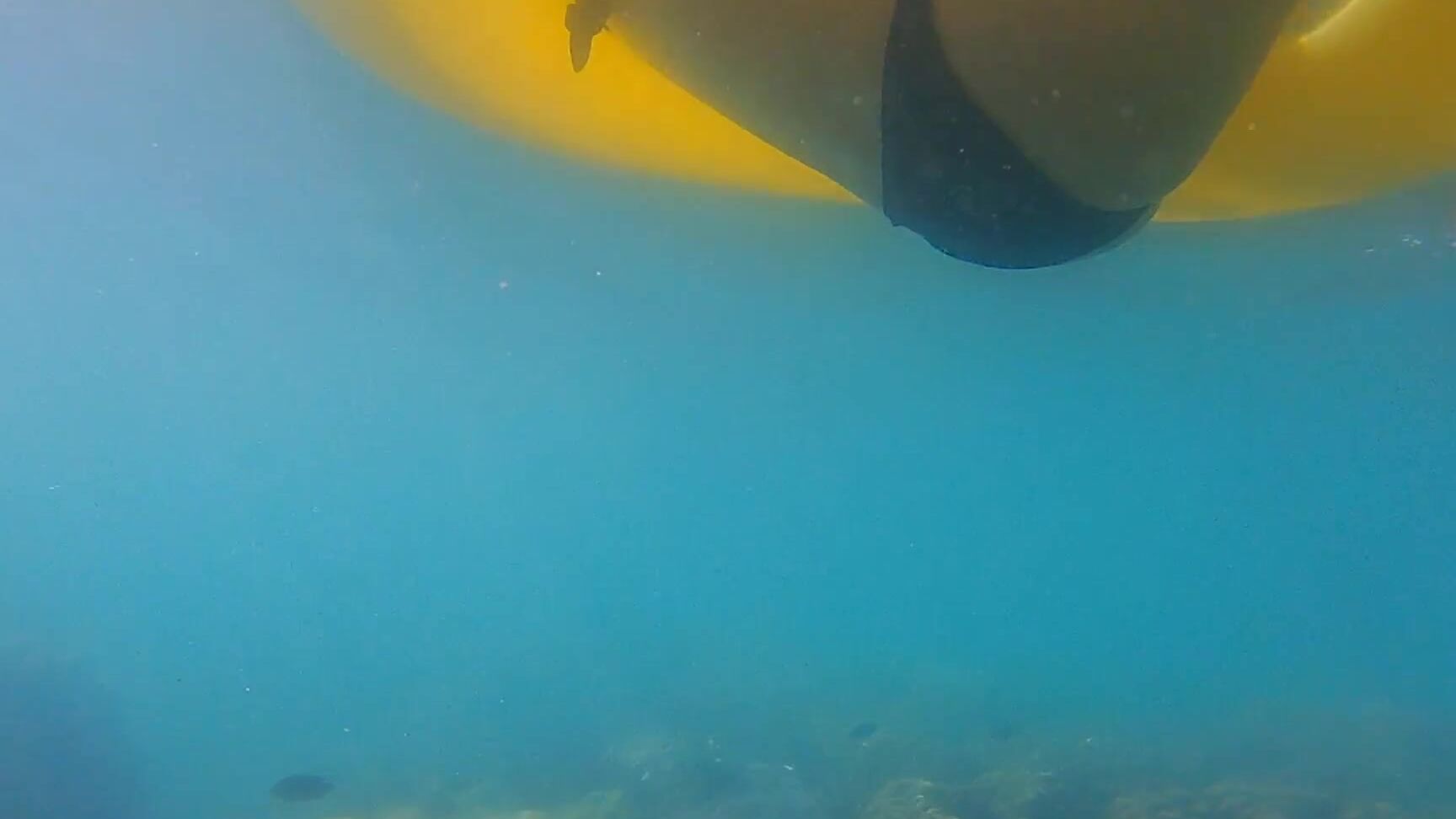 "Sex Art" Adult Toys, Masturbate, Kink, Public, Outside, Sexy Underwear, Ass Penetration, Hairy Pussy, Panties Take Off, Close Up Ass, Close Up Penetration, Sexy Girl, Beach Voyeur, Public Flashing, Suggest Sex Art ENJOY Butt Plug IN and OUT among Fi