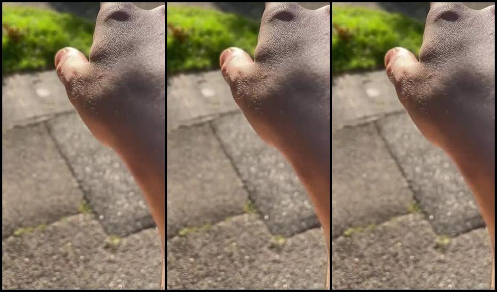 Goddessgaelle Nicknamed Badgaelle Onlyfans Video 469