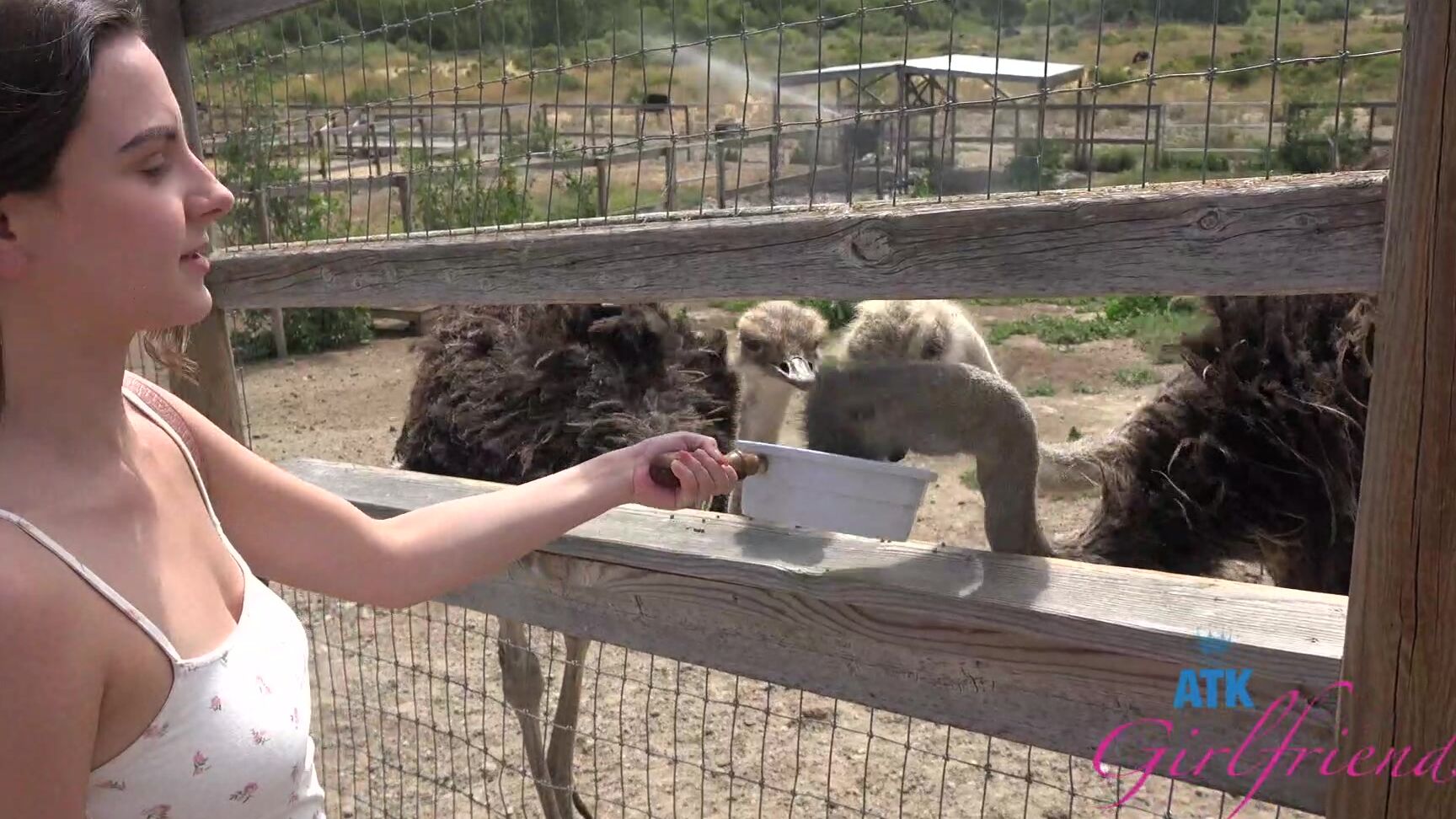 Pissing, Footjob, POV, Blowjob Serena Hill - Nor Cal 1 SiteRip