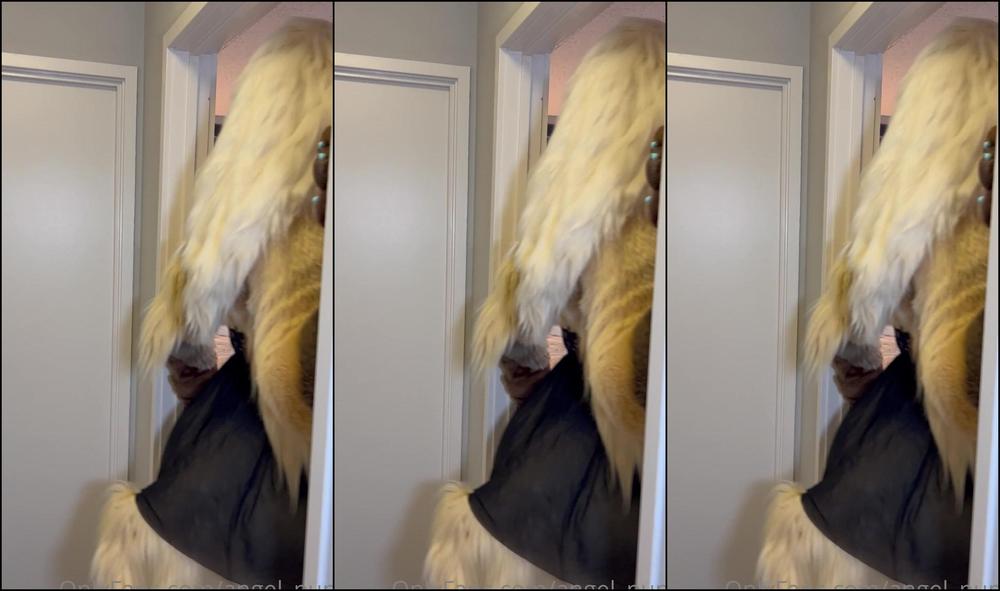 Angel Pups 647166467 Would You Follow Her 01 D041B624 8D31 401F Ba5D B13973187Ef0