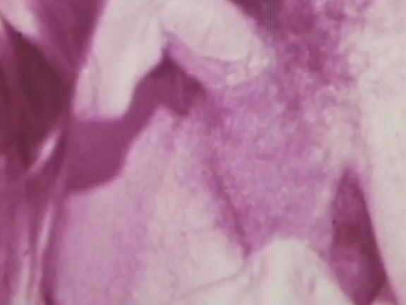 "Mix"  Classic Girls In Paradise_4 SiteRip