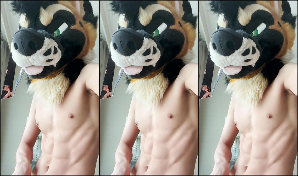 Palacewolf 963732993 Have Time To Stop By Real Quick To Help Take Care Of This 01 0Hnmuxybfioeu18D3Akbp Source