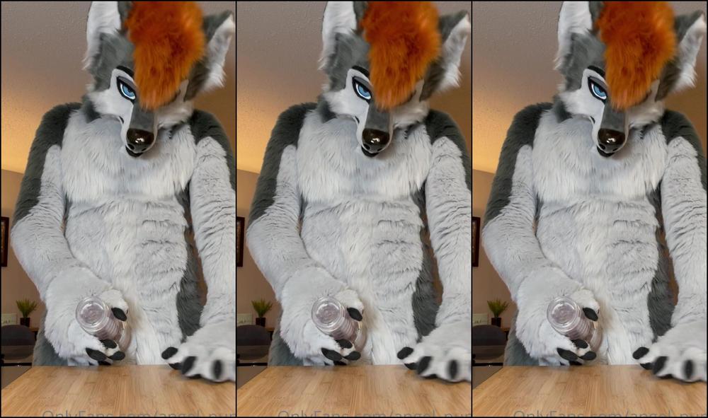 Angel Pups 296862896 Few Angles Of Storm Using His Fleshlight 04 F37C7E0B 0170 4030 93Cf 5A79Ad868Eff