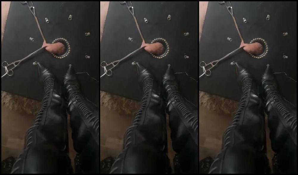 Ladydarkangeluk Onlyfans Stretched Prodded And Trod