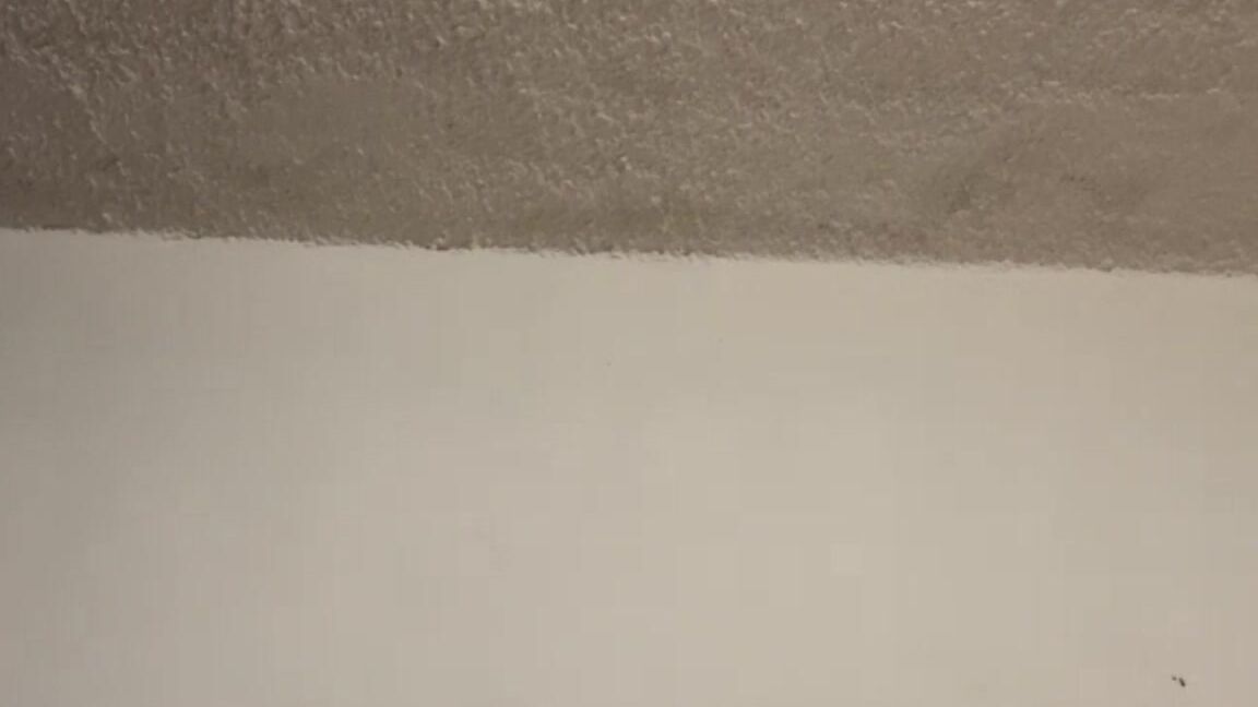 Princessdoris 3499689937 09 27 2024 Stream Started At 09262024 0641 Pm