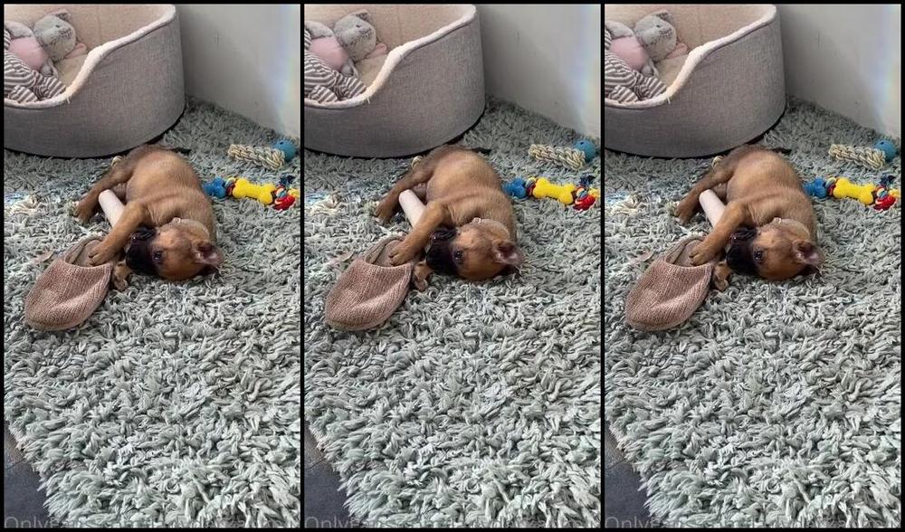 Ladydarkangeluk Onlyfans Love Her Xxxxx She S So Good Overnight For An 8 Week Old Amazing