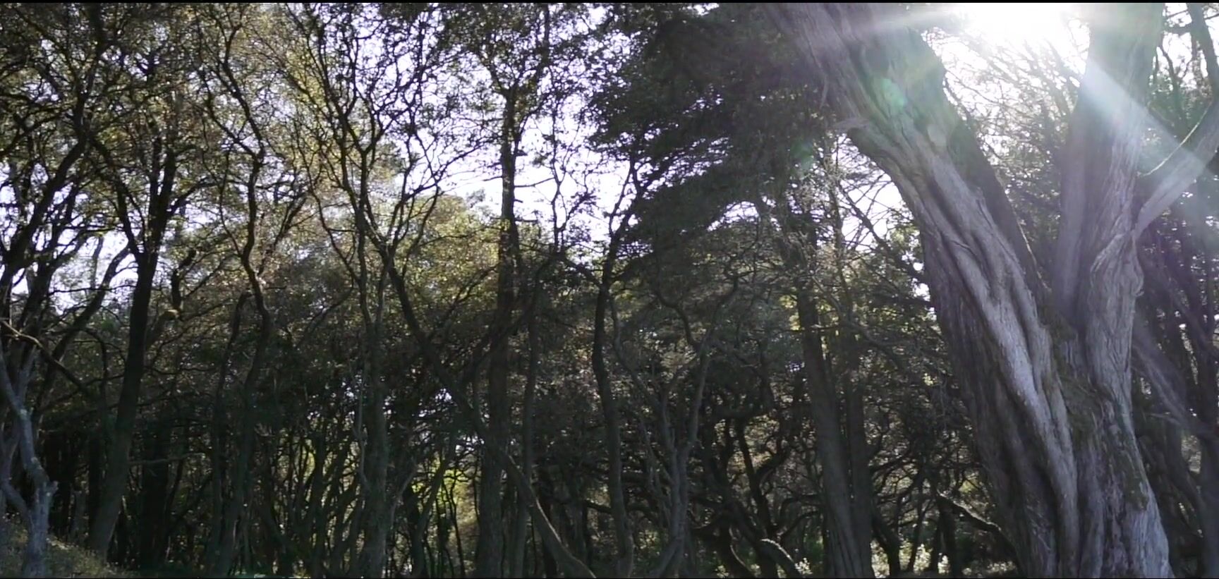 Luna Okko - [Pornhub] - E05 - SPRING BLOWJOB - LUNA'S JOURNEY SiteRip