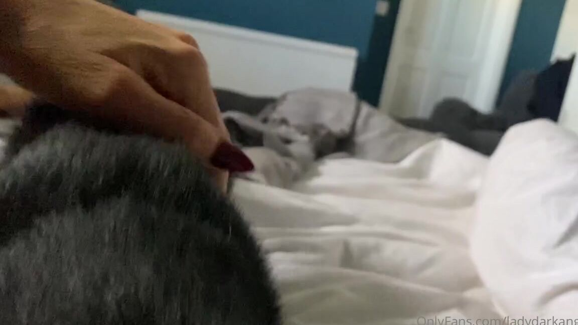Ladydarkangeluk Onlyfans When It S My Turn To Stay In Bed I Get Cuddles From This Little One