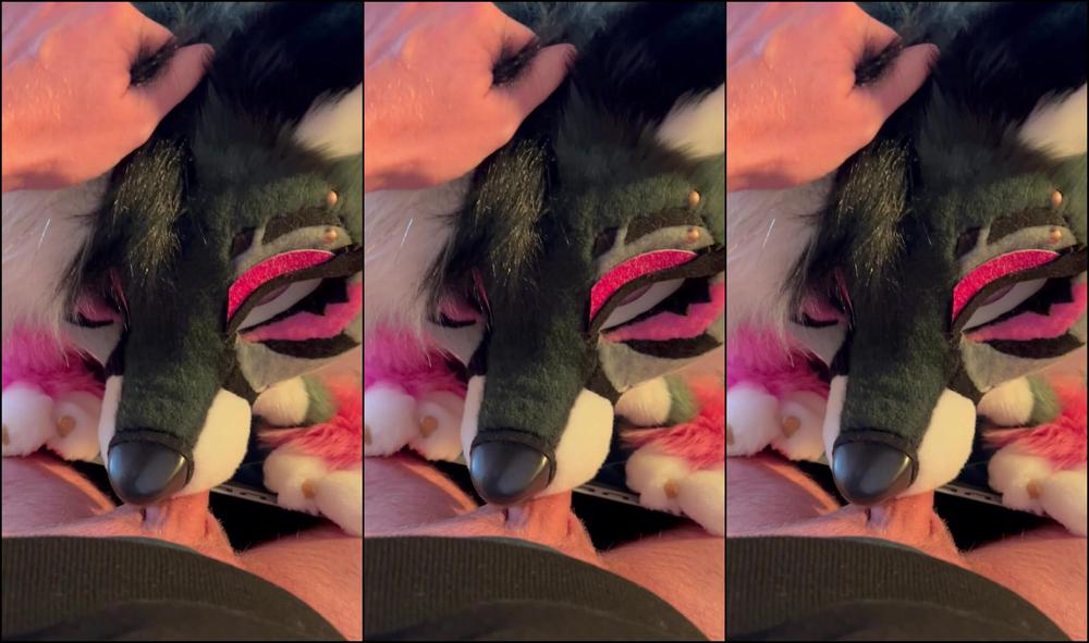 Angel Pups 925623087 Just Wanted A Quick Taste 06 0Hmlte5Wcqmie6Srxddil Source