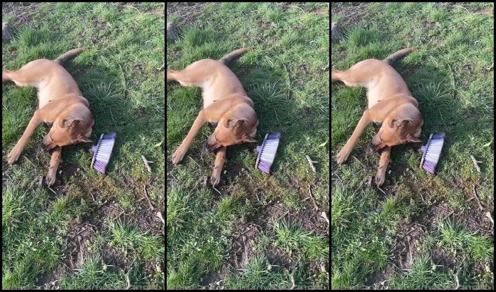 Ladydarkangeluk Onlyfans Such A Numpty