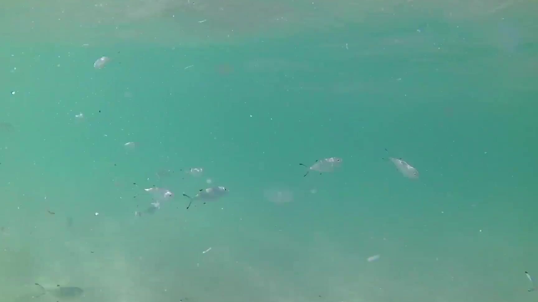 Kathianobilixx Join Me Under Water Scuba Diving And More You Ll Not Regret It Darling Xoxo