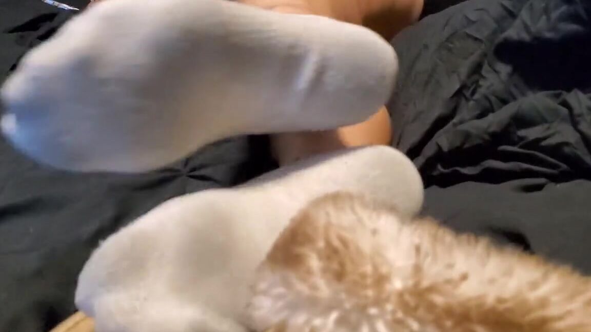 Pediqueensoles Nicknamed Pediqueensoles Onlyfans Sweaty Socks And Smelly House Shoes