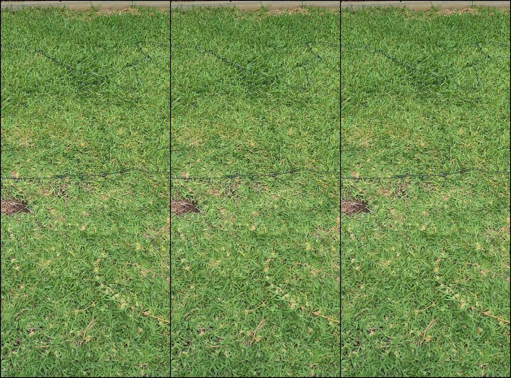 livecleo-31-12-2020-1554257479-should-i-still-do-the-show-outside-or-stay-inside-so-i-dont-get-sick-not-sure-what-to-do