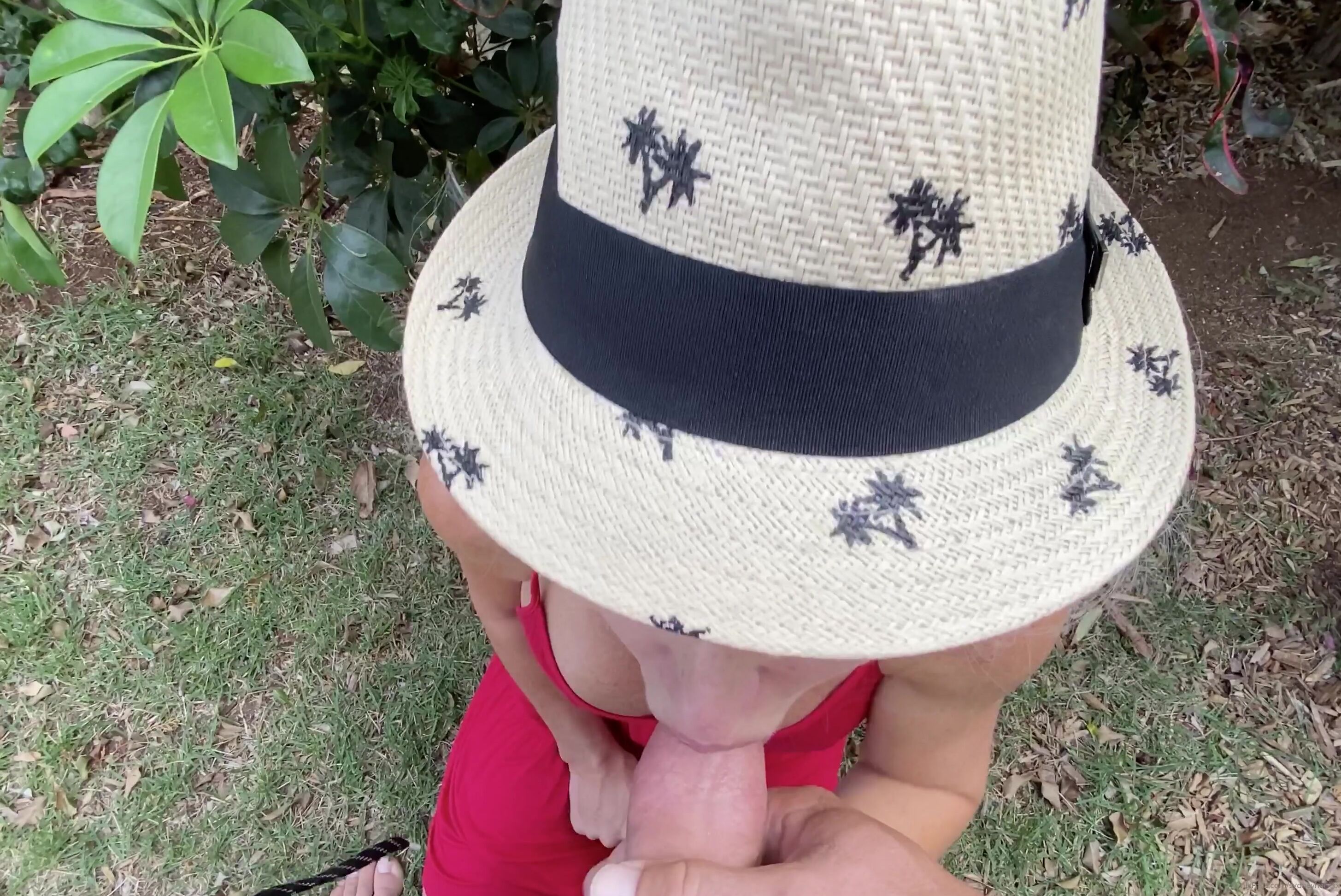 Sydneyhail Happy Valentine S Day Bj