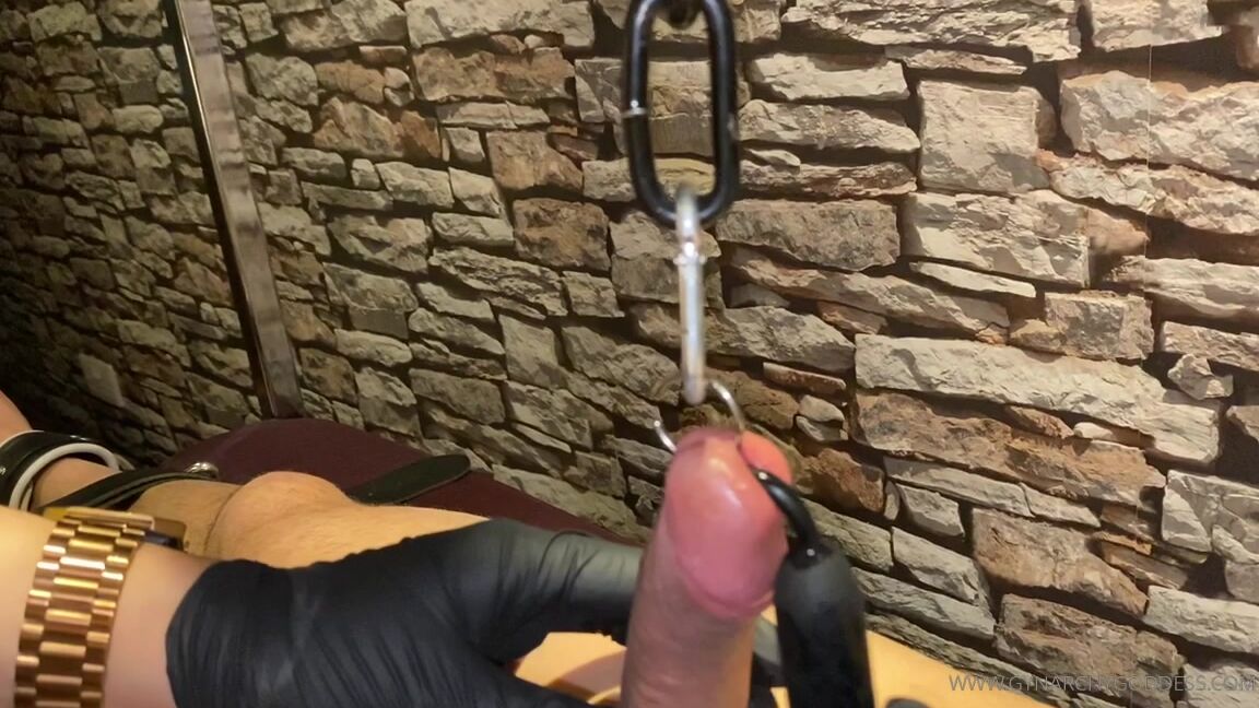 Goddess Gynarchy Is Prince Albert Is Pulled Tight And Upright With Cha