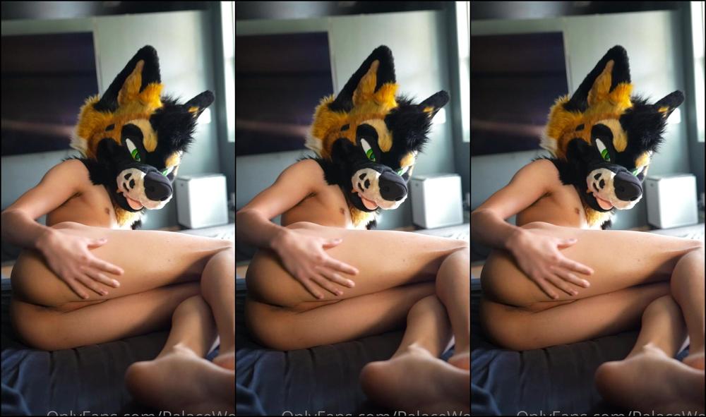 Palacewolf 434370610 Whatcha Doin Just Sitting There And Staring Come Have A Lit 01 E21A1466 1Aa7 43B5 A59F 06Fdd82Ec303